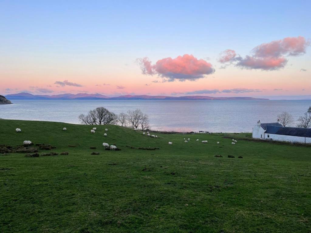 Rural Farmhouse On Kintyre, West Coast Hidden Gem Kildalloig Exterior photo